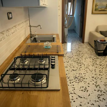 Dom wakacyjny New Fox House *